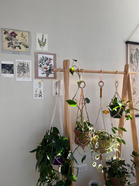 I used this @urbanoutfitters clothing rack as a plant rack. Rack Ideas For Bedroom, Plant Rack Ideas, Clothing Rack Aesthetic, Plant Racks, Standing Clothes Rack, Plant Rack, Aesthetic Architecture, Open Wardrobe, Chill Room