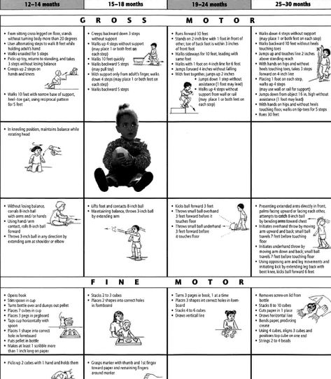 Peabody Motor Development Chart Occupational Therapy Assessment, Therapy Assessment, Baby Development Chart, Toddler Chart, Adapted Physical Education, Milestone Chart, Development Milestones, Pediatric Physical Therapy, Pediatric Occupational Therapy