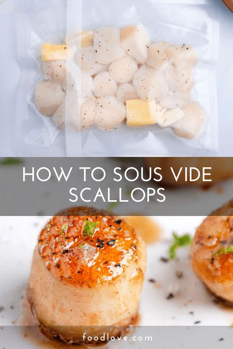 Sous Vide Cod, Sous Vide Meatballs, Sous Vide Scallops, Sousvide Recipe, Instant Pot Sous Vide, Multi Cooker, Scampi Recipe, Sous Vide Recipes, Healthiest Seafood