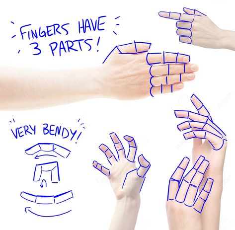 Dessiner les doigts How To Draw Fingers, Hands Tutorial, Male Figure Drawing, Draw Hands, Hand Drawing Reference, Hand Reference, Anatomy Drawing, Figure Drawing Reference, Anatomy Reference