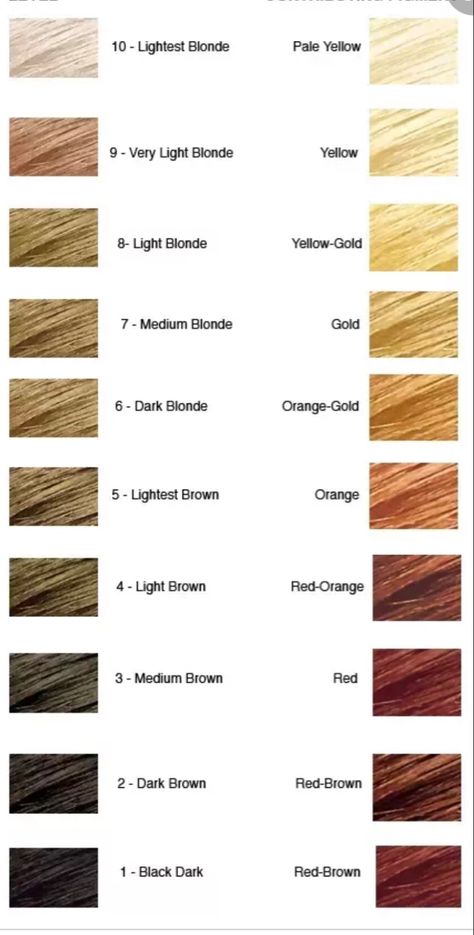 Hair Level Chart, Level 8 Hair Color, Brown Hair Chart, Level 8 Hair, Golden Hair Color, Hair Color 2017, Hair Chart, Aveda Hair Color, Golden Blonde Hair Color