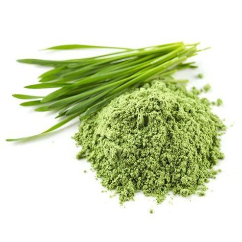 Buy Herbal Powders Online at Wholesale Price from Leading Manufacturer, Supplier of India. Order Natural, Organic Herbal Powders in Bulk quantity at Lowest price. Check Herbal Powders Price in Kg, Certifications, Fast shipping & Payment options at VedaOils. Wheat Grass Powder, Wheatgrass Powder, Superfood Supplements, Superfood Smoothie, Healthy Eyes, Wheat Grass, Turmeric Root, Smoothie Ingredients, Rich In Protein