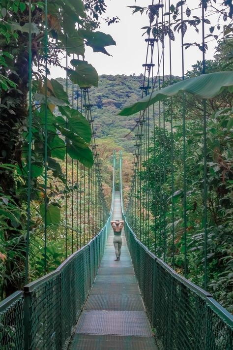 Why You Need to Visit the Monteverde Cloud Forest in Costa Rica - Be My Travel Muse Cloud Forest Costa Rica, Monteverde Cloud Forest, Forest Lodge, Foggy Weather, Cloud Forest, Atv Tour, Continental Divide, Monteverde, Costa Rica Travel