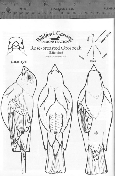 Rose-breasted Grosbeak Part One | wildfowl-carving.com Bird Carving Patterns, Tre Kunst, Simple Wood Carving, Clay Birds, Wood Carving For Beginners, Dead Tree, Bird Carving, Dremel Wood Carving, Tanah Liat