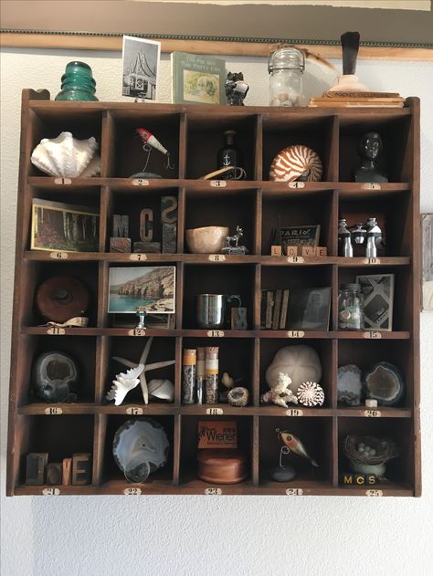 Cubby curation. Curated curiosities, vintage finds and nature collections. Pottery Barn cubby organizer. Printer Tray, Witch's House, Wooden Cubby, Antique Booth Displays, Curio Cabinets, Cabinet Of Curiosity, Cubby Shelf, Curiosity Cabinet, Steampunk House