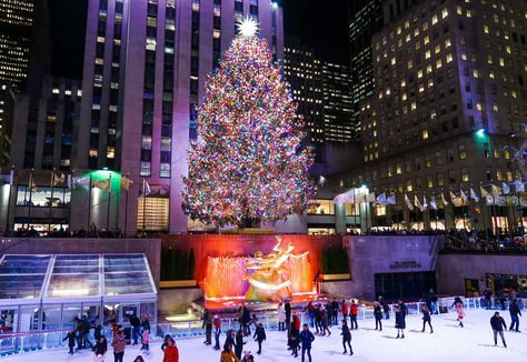 Patinar sobre hielo en Nueva York: Rockefeller y las pistas más famosas Rockefeller Center, Anime Scenery Wallpaper, Scenery Wallpaper, Anime Scenery, Wonderful Time, Christmas Tree, Holiday Decor, Christmas