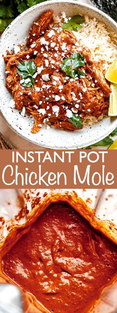 Mexican Chicken Mole, Chicken Mole Recipe, Mole Recipe, Mexican Comfort Food, Mexican Flavors, Chicken Mole, Healthy Chicken Recipes Easy, Mexican Dinner Recipes, Easy Dinner Recipe