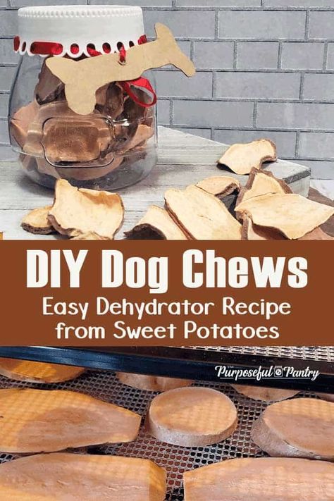 Learn how to make your own homemade dog chews with sweet potatoes! So much less expensive than commercial chews, and healthier, too! #dogchews #dogs Dehydrating Sweet Potatoes For Dogs, Dehydrated Dog Treats Recipes, Dehydrated Sweet Potato Dog Treats, Dehydrated Sweet Potatoes, Dehydrator Dog Treats, Dog Facility, Dehydrating Vegetables, Puppy Recipes, Sweet Potato Dog Chews