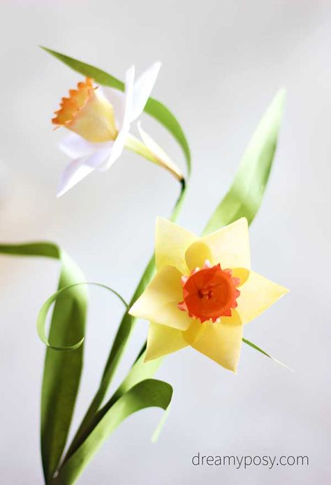 How to make paper Daffodil out of printer paper, FREE template Daffodil Paper Flower, Paper Daffodil, Paper Flower Templates Pdf, 3d Svg Files, 3d Paper Flowers, Flowers 3d, Spring Window, Paper Flower Crafts, Daffodil Flower