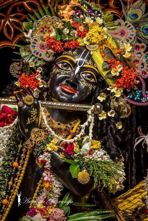 Mayapur Iskcon, Iskcon Mayapur, Bihari Ji, Hare Krishna Hare Krishna, Radha Krishna Holi, Iskcon Krishna, Krishna Krishna, Shree Krishna Wallpapers, Ram Ram