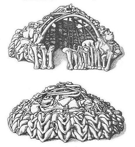 Illustration depicting a Paleolithic house made from mammoth bones and tusks in Mezhyrich, Ukraine. When in use it would have been covered with animal skins. Prehistoric Architecture Drawing, Earthship Plans, Old House Design, Exploration Art, Sea Of Azov, Prehistoric Man, Early Humans, Architecture Design Drawing, Prehistoric Art