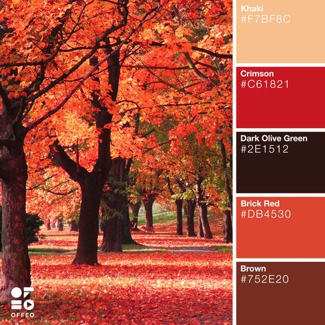 Maple Leaf Color Palette, Fall Red Color Palette, Colors That Match With Red, Red Color Matching, Fall Palette, Tuscan Design, Red Colour Palette, Tuscan Decorating, Fall Color Palette