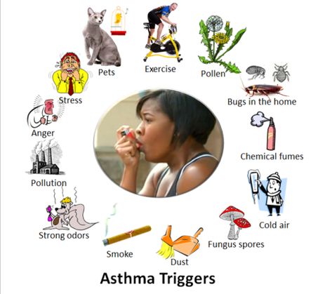 Asthma triggers 2 What Is Asthma, Natural Asthma Remedies, Asthma Remedies, Asthma Relief, Asthma Inhaler, Allergy Asthma, Asthma Symptoms, Asthma Attacks, Lung Disease