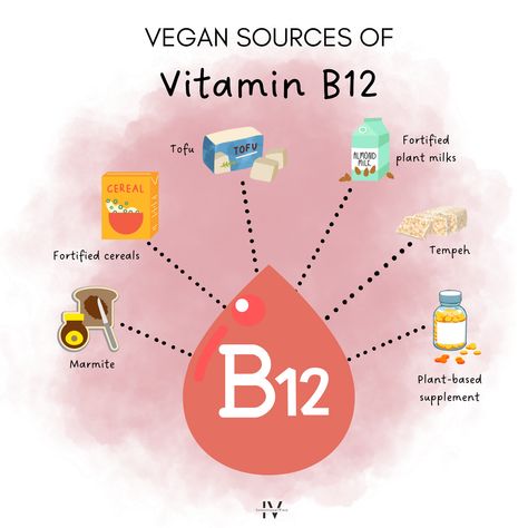 Vitamin B12 is an essential nutrient and long-term deficiency can lead to severe health risks, so it's important to know your vegan sources of Vitamin B12! Read the blog to discover 7 more vital nutrients you run the risk of being deficient in on a plant-based diet - and how you can ensure adequate daily intake. 💚 Vitamins For Vegans, Sources Of Vitamin B12, Fortified Cereals, Vegan Probiotics, Vegan Vitamins, Vegan Supplements, Nutrient Deficiency, Whole Food Diet, Vegan Nutrition