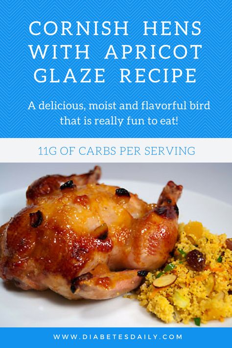 Cornish Hens with Apricot Glaze Recipe Apricot Glazed Cornish Hens, Glazed Cornish Hen Recipe, Hen Recipes, Cornish Game Hen Recipes, Manwhich Recipes, Meat Ideas, Apricot Glaze, Szechuan Recipes, Mulberry Recipes