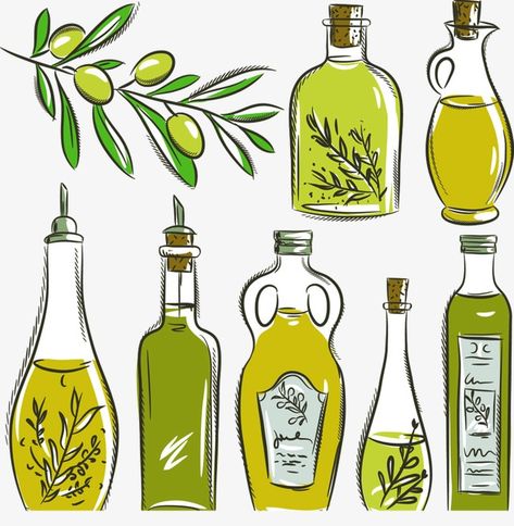 Olive Oil Cartoon, Olive Oil Bottle Design, Bottle Tattoo, Bottle Drawing, Food Sketch, Olive Oil Bottles, Hand Drawn Vector, Olive Leaf, Rock Crafts