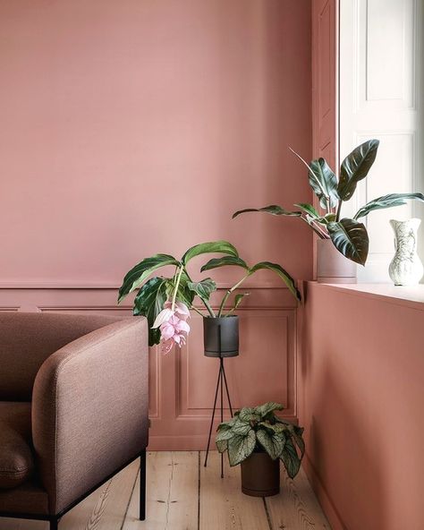 Dusty rose room by ferm LIVING Murs Roses, Plant Goals, Interior Design Per La Casa, Deco Rose, Dekorasi Kamar Tidur, Pink Wall, Design Del Prodotto, Pink Interior, Pink Decor