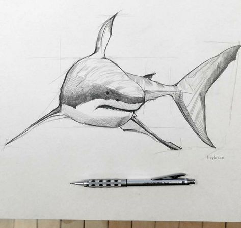 Shark Sketch Drawing, Bull Shark Drawing, Shark Drawing Reference, Sharks Sketch, Shark Drawing Sketches, Sharks Drawing, Drawing Shark, Shark Sketch, Memorial Tattoo Ideas