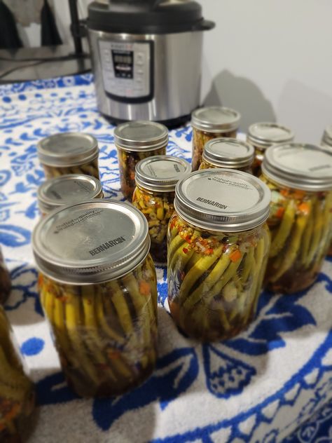 Canning Pickled Green Beans Water Bath, Instapot Canning Green Beans, Canning Green Beans In Instant Pot, Canning Green Beans In Pressure Cooker, Pickled Green Bean Recipes, Pressure Canning Green Beans, Pressure Cooker Times, Pressure Cooker Beans, Freezing Recipes