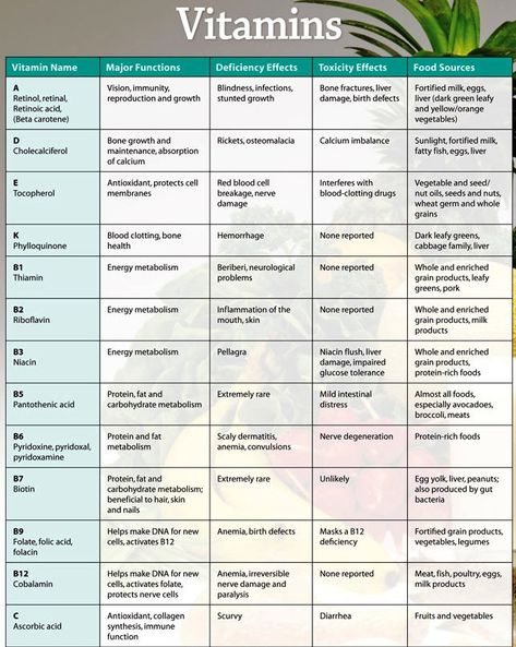 Vitamins Chart, Culinary Medicine, Vitamin Charts, Formula Sheet, Chemistry Basics, Nutrition Classes, Biology Classroom, Bone Fracture, Homemade Facial Mask