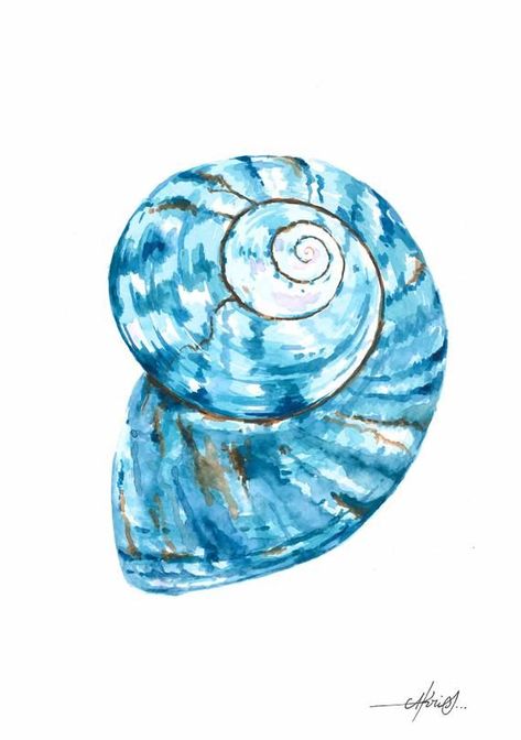 Shell Drawing, Beach Wall Collage, Art Coquillage, Sea Life Art, Seashell Painting, Seashell Art, Sea Art, Shell Art, Painting Art Projects