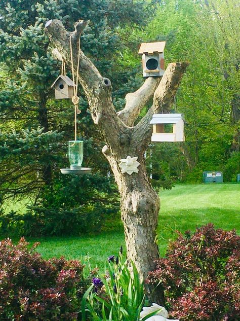 Have an old tree stump in your yard or do you need to cut down an overgrown tree? We turned an overgrown miniature crab apple tree into a bird sanctuary, with bird feeders and houses that all share a rustic vibe. Birdhouse On Tree Stump, Tree Trunk Bird House, Tree Stump Bird House, Tree Stump Bird Feeder, Cut Tree Stump Ideas, Cut Down Tree Ideas, What To Do With Tree Stumps In Yard, Decorating Tree Stumps In Yard, Dead Tree Ideas