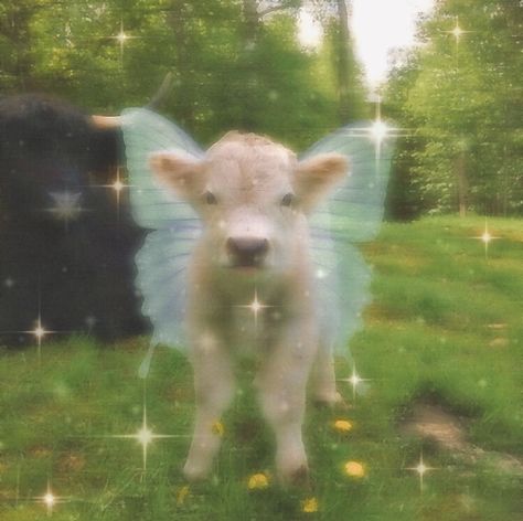 Kendra Core Animal, Cow Pfp Cute, Cow Pfp Aesthetic, Cow With Wings, Gabrielle Core, Spring Pfp, Fairy Pets, Cow Aesthetic, Fairies Aesthetic