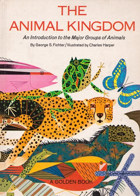 The Animal Kingdom - illustrated by Charley Harper. Need to get hold of a copy of this book! Charley Harper Art, Charlie Harper, Kid Books, Mid Century Illustration, Charley Harper, Buch Design, Teacher Books, Animal Groups, Vintage Children's Books