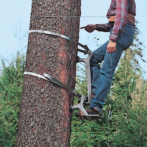 Tree Climbing Equipment, Hunting Stands, Gas Chainsaw, Tree Climbing, Forestry Equipment, Tree Felling, Climb Trees, Diy Tree, Target Practice