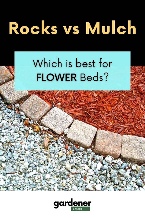 Planting Flower Beds with Rocks Instead of Mulch: Pros and Cons — Gardening, Herbs, Plants, and Product Reviews Using Rocks Instead Of Mulch, Flower Beds With Rocks, Rocks Instead Of Mulch, Outdoor Garden Bed, Rock Mulch, Rock Flower Beds, Stone Flower Beds, Gardening Herbs, Rock Bed