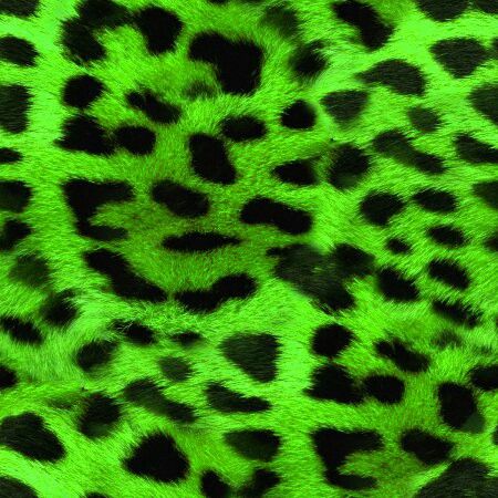 Photowall Ideas, Animal Print Background, Green Pictures, Dark Green Aesthetic, Animal Print Wallpaper, Neon Aesthetic, Green Photo, Green Theme, Photo Wall Collage