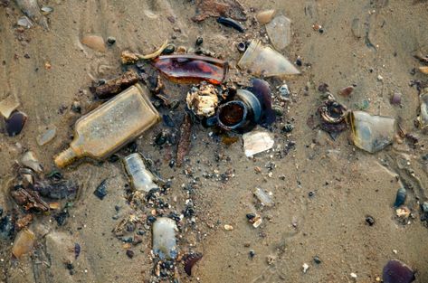 New York's Favorite Trash-Strewn Beach Is a Wee Bit Radioactive - Atlas Obscura Trash On Beach, Atlas Obscura, Save Animals, On Beach, National Parks, Glass