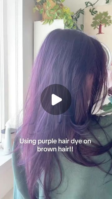 Arctic Fox Hair Color on Instagram: "🙅‍♀️ Don’t want to bleach your hair? Purple AF on a darker base for a deep burgundy is mandatory! ✨ So don’t forget to pick up a bottle or two...or three of Purple AF and have a little fun!! 💜  #purpleaf #purplehair #haircolor" Purple Af Arctic Fox Hair, Artic Fox Purple Af, Arctic Fox Hair Dye Combinations Purple, Brown Hair Dyed Purple, Arctic Fox Purple Af, Purple Burgundy Hair Color, Arctic Fox Purple, Artic Fox Hair, Purple Hair Dye