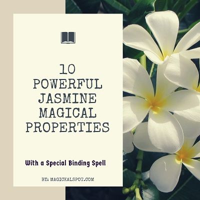 Here's everything you need to know about Jasmine Magical Properties and its significance in the world of witchcraft. I've also included a few magickal tips Jasmine Flower Magical Properties, Magical Properties Of Jasmine, Jasmine Spiritual Meaning, Jasmine Magical Properties, Jasmine Witchcraft, Jasmine Properties, Spell Herbs, Magickal Tips, Jasmine Flower Tea