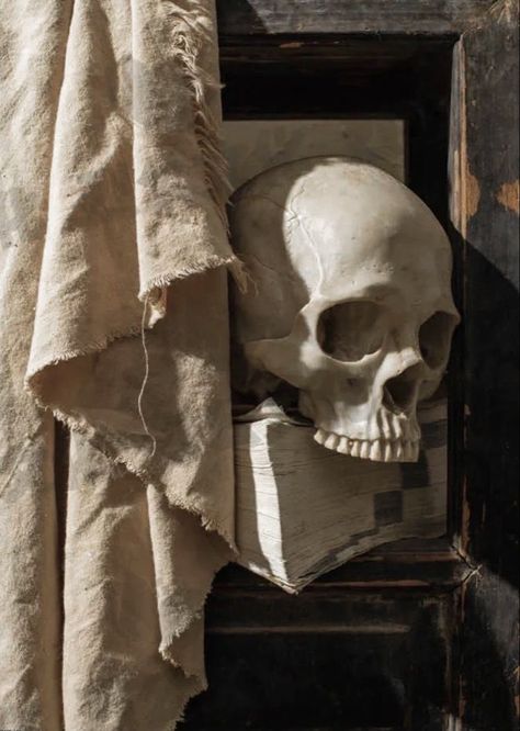 Caroline Peckham, Skull Reference, Still Life Pictures, Life Drawing Reference, Reference Photos For Artists, Zodiac Academy, Still Life Photos, Basic Drawing, Still Life Drawing