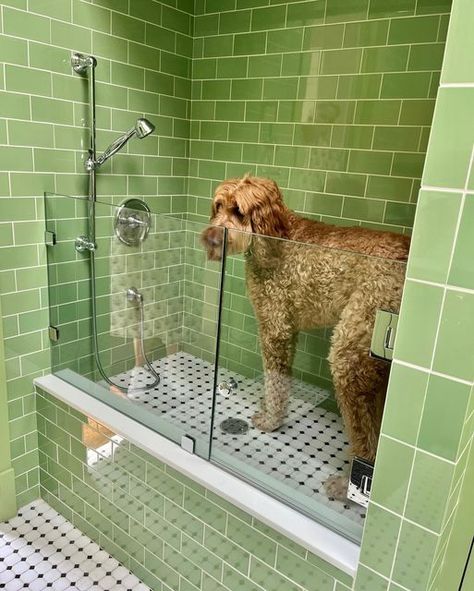 Jenkins Interiors, Pet Washing Station, Pet Cafe, Pet Station, Pet Grooming Salon, Dog Grooming Shop, Dog Washing Station, Dog Grooming Salons, Instagram Dog