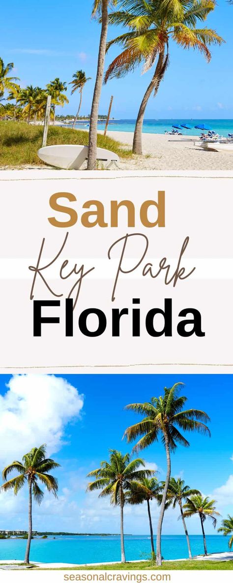 Sand Key Park Clearwater, Sand Key Beach Florida, Sea Oats, Clearwater Beach Florida, Clearwater Florida, Clearwater Beach, Interesting Places, Florida Vacation, Beach Travel