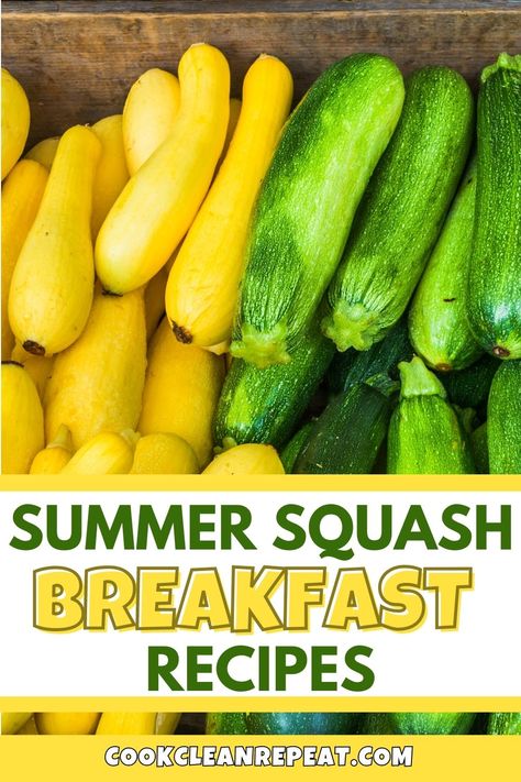 Summer squash is a very versatile ingredient packed with nutrients. Try out some of these breakfast recipes for some healthy tasty meals! Summer Squash Frittata, Summer Squash Breakfast, Yellow Squash Pancakes, Squash Breakfast Recipes, Breakfast Squash, Squash And Eggs, Stewed Squash, Squash Breakfast, Squash Frittata