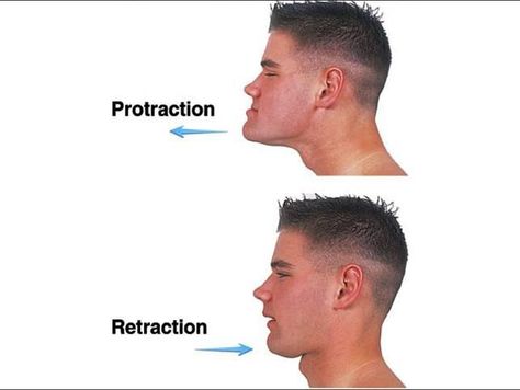 Protraction & retraction : special movement. Protraction (movement of a part of the body anteriorly, thrusting mandible outward) . Retraction (movement of a protracted part of the body back to normal Shoulder Exercises Physical Therapy, The Violin, Free Education, Medical Assistant, Anatomy And Physiology, Shoulder Workout, Massage Therapy, Physical Therapy, Nursing School