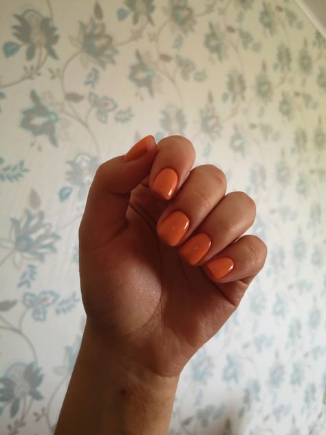 Orange Gel Nails Short, Summer Nails Squoval, Short Nails Orange, Short Squoval Acrylic Nails, Halloween Nails Acrylic Simple, Orange Short Nails, Orange Nails Short, Orange Gel Nails, Neon Acrylics