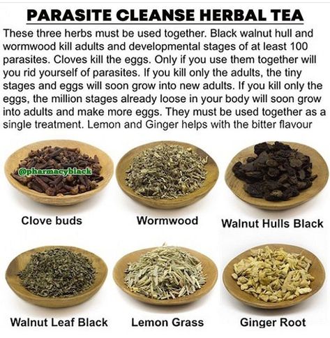 Natural Remedies To Remove Parasites, Natural Dewormer For Humans, Herbal Parasite Cleanse, Herbal Remedies Recipes, Parasite Cleanse, Medical Herbs, Natural Healing Remedies, Herbal Healing, Home Health Remedies