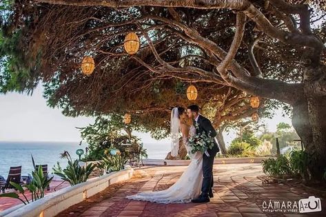 Mexico Wedding Venues, 70 Wedding, Mexico Wedding Venue, Mansion Weddings, Dream Beach Wedding, Mexico Destination Wedding, Destination Wedding Mexico, Inexpensive Wedding, Destination Wedding Locations