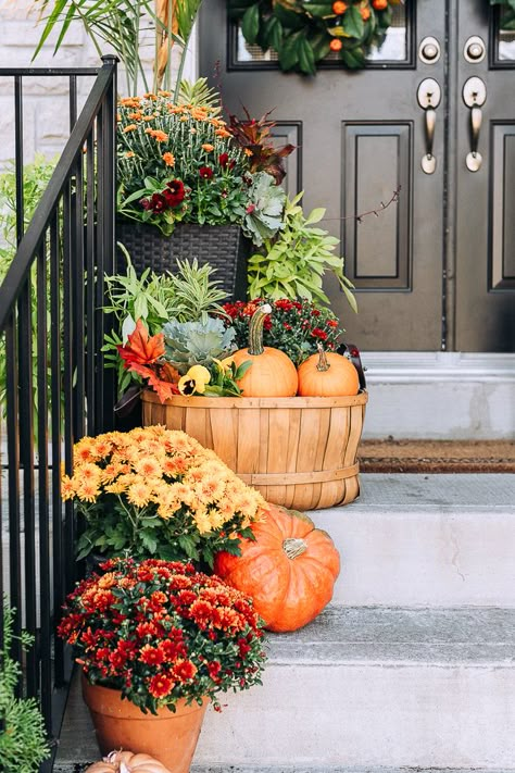 Porch Mailbox, Front Porch Plants, Autumn Porch, Porch Fall Decor, Autumn Fruit, Pumpkin Arrangements, Porch Plants, Corn Stalks, Autumn Cottage