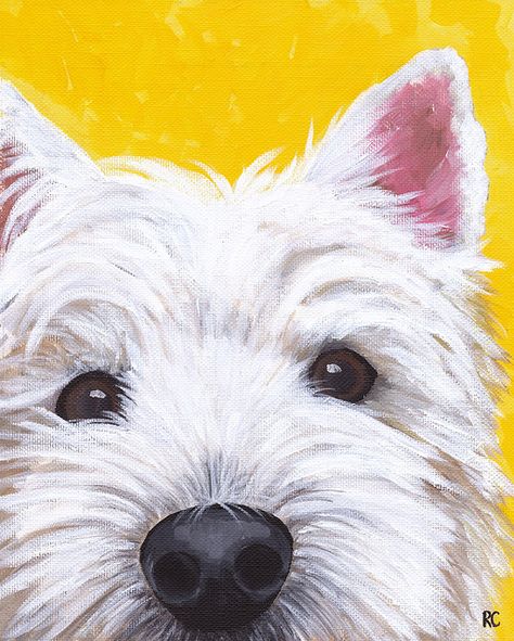 closeup westie by CecereDesigns  @Carthy Patrick You need this!!!! West Terrier, Westie Dog, Psy I Szczenięta, Custom Pet Art, Highland Terrier, 강아지 그림, Highlands Terrier, Westie Dogs, White Terrier