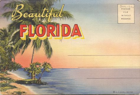 1940 Florida fold-out postcard #florida Formal Cooler Ideas, Weekend In Miami, Beautiful Florida, Florida Art, Cute Laptop Wallpaper, Design Stickers, Florida Girl, Travel Postcard, Us States