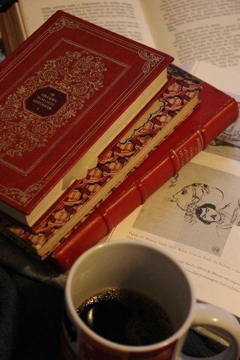 Books oldbooks Coffee And Writing Aesthetic, Red Studying Aesthetic, Red Study Aesthetic, Dark Academia Library, Dark Academy Aesthetic, Writer Aesthetic, Boarding School Aesthetic, Gothic Academia, Mushroom Core