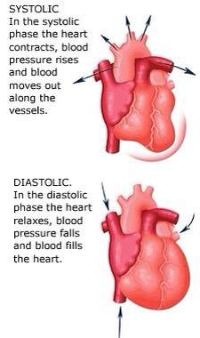 Systolic vs diastolic Systolic And Diastolic, Emt Study, Medical Student Study, Cardiac Nursing, Nursing School Survival, Nursing School Studying, Nursing School Tips, Medical School Studying, Nursing School Notes