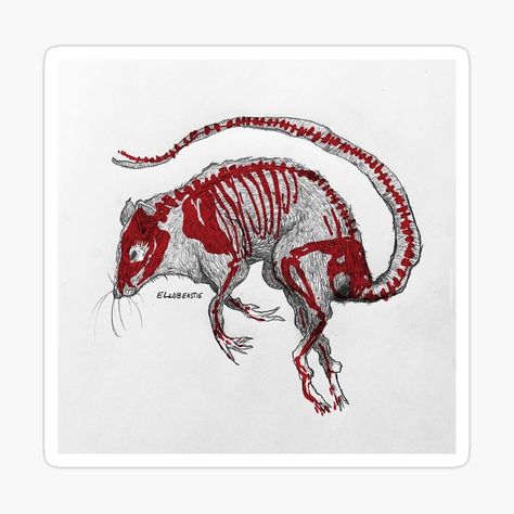 Mouse Skull Drawing, Skeleton Animals Tattoo, Pig Skeleton, Animal Skeleton Art, Animal Skeleton Sketch, Rat Skeleton Drawing, Rat Skeleton, Rat Skull, Mouse Skeleton