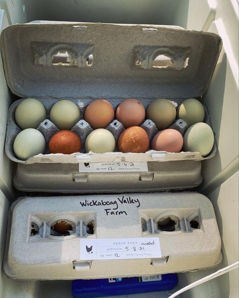 Farm Fresh Eggs, Fresh Eggs, Farm Fresh, Quick Saves