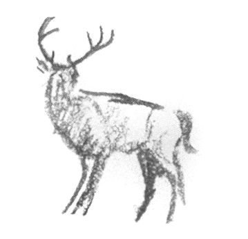 Deer With Antlers, Deer Sketch, Red Dead Redemption Art, Deer Drawing, Deer Tattoo, Arthur Morgan, Drawing Journal, Gaming Tattoo, A Deer